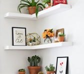 Home Decor and Appliance