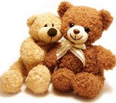 Teddy Bear and Soft Toys