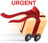 Same Day and Urgent Gifts