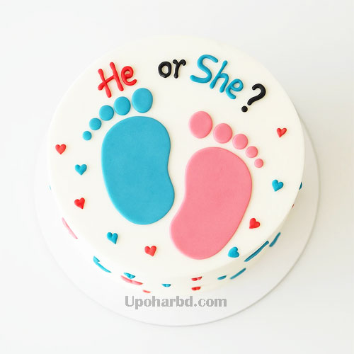 He or She Theme Cake