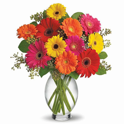 25 Gerbera Daisy in a vase